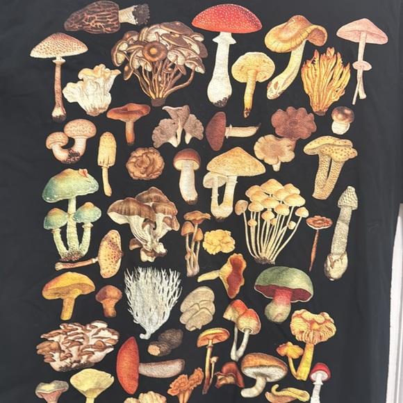 NWOT Contemporary Mushroom Fungi T-shirt Size unisex L - Picture 2 of 4